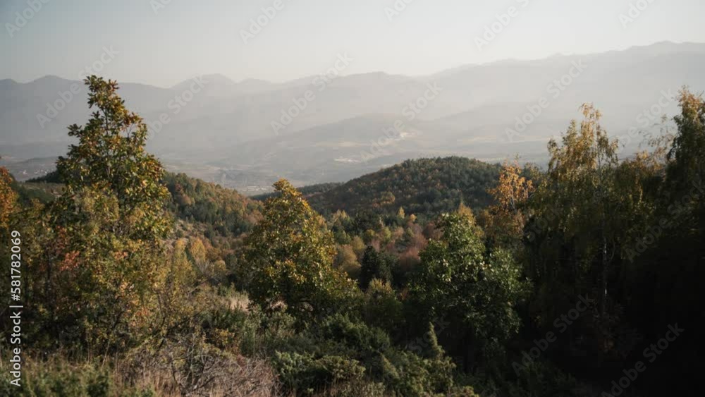 Autumn green and orange forest with mountain landscape in the background Autumn green and orange forest with mountain landscape in the background