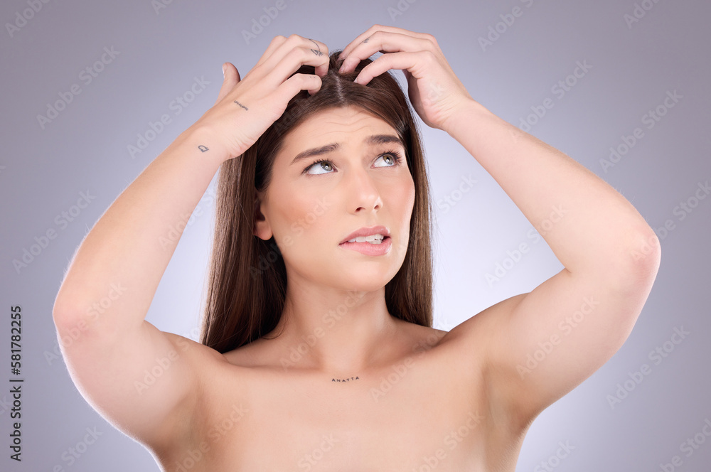 Woman, hair and worried of scalp dandruff on studio background to scratch allergy, eczema or head lice. Female model, itching scalp and haircare problem of damaged texture, dry skincare or dermatitis Woman, hair and worried of scalp dandruff on studio background to scratch allergy, eczema or head lice. Female model, itching scalp and haircare problem of damaged texture, dry skincare or dermatitis