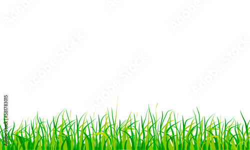 green grass border meadow footer frame isolated on white background