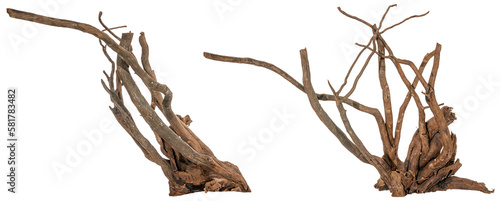 collection of a piece of a filigree root / trunk river wood, driftwood, natural wood, plant root, sera scaper root isolated on transparent background png image compositing footage alpha channel