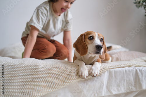 Animal-Assisted Therapy for Kids. charming smiling boy and his beagle. therapeutic approaches involving pets and the ways in which they can help children with social, emotional challenges.