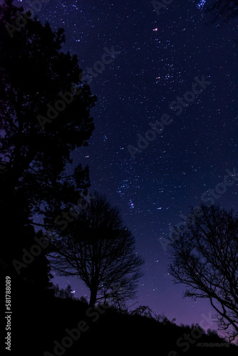 Stars and trees silhouette, night time