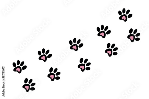 An imprint of a cat's or dog's paw print on a white background. Animal tracks isolated on a white background. Illustration of a path with paw prints.Vector 