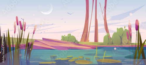 Green swamp and cattail near lake, early morning vector background. Pond with bulrush in park. Calm water surface in river cartoon illustration. Wild nature landscape with crescent and flying birds
