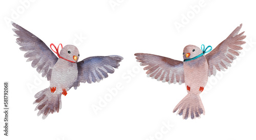 Watercolor pigeons carrying twigs on a white background © Eva Kleinman