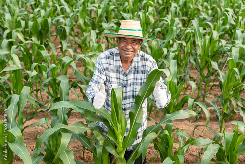 Smiling elderly Asian man farmer looking at camera while standing in corn field on farm