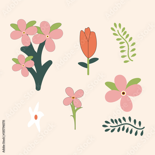 Beautiful flowers vector illustration and background