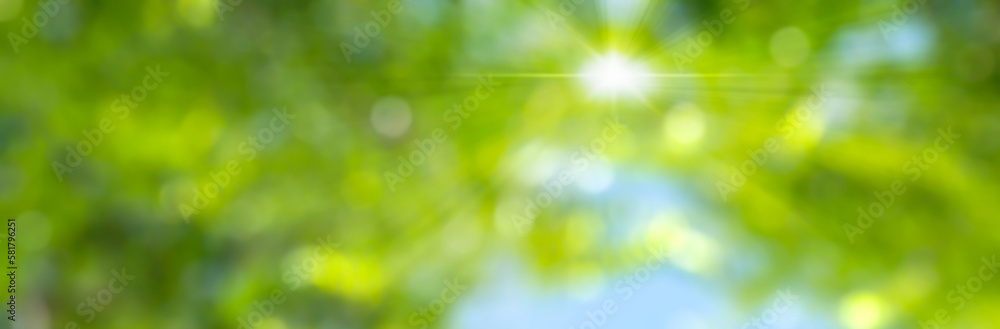 blurred abstract spring background with defocused lights and sun, view from below against green trees and blue sky, nature idyll banner with copy space blurred abstract spring background with defocused lights and sun, view from below against green trees and blue sky, nature idyll banner with copy space