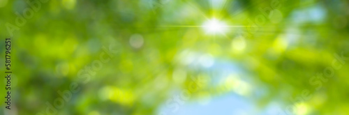 blurred abstract spring background with defocused lights and sun, view from below against green trees and blue sky, nature idyll banner with copy space © winyu