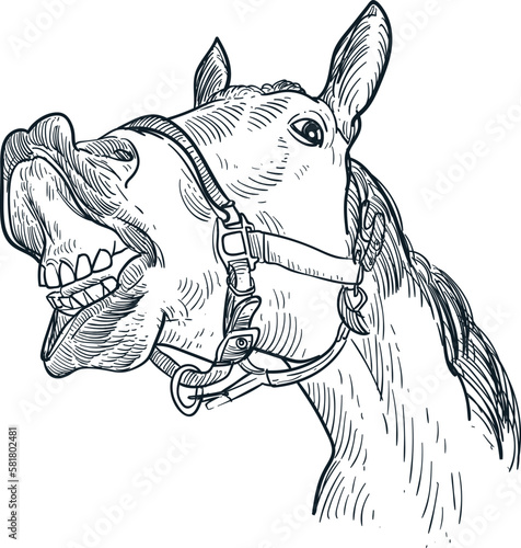 Vintage hand drawn sketch horse head