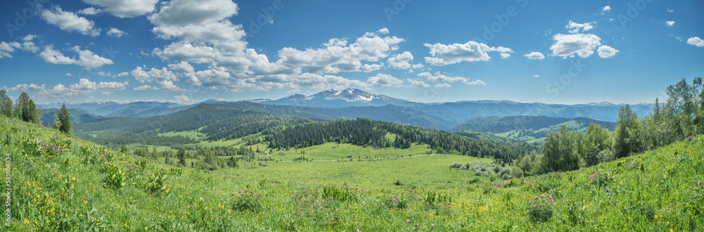 Panoramic view of the mountain valley, flowers in the foreground, summer greenery, sunny day