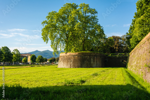 The historical and famous walls of Lucca city in the Tuscany region, springtime, central Italy, Europe