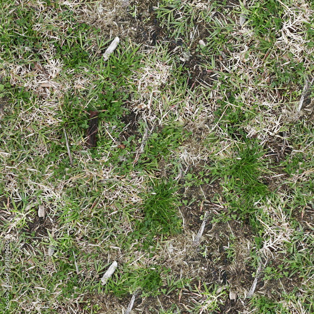 Green grass texture can be used as background. Green grass texture can be used as background.