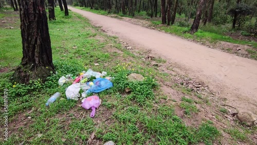 garbage on the forest near the trail. environment issues