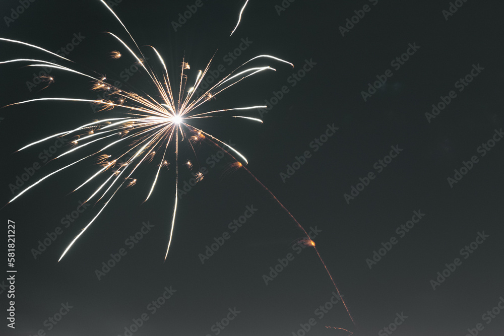 Obraz premium fireworks in the sky