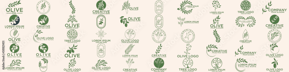 set of green olive oil logo for modern female beauty
