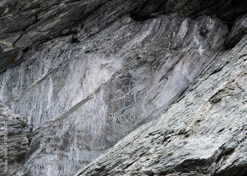 Petroglyph carved on a rock depicting moose animals dated 35-1 centuries BC on the banks of the Tom River in Siberia