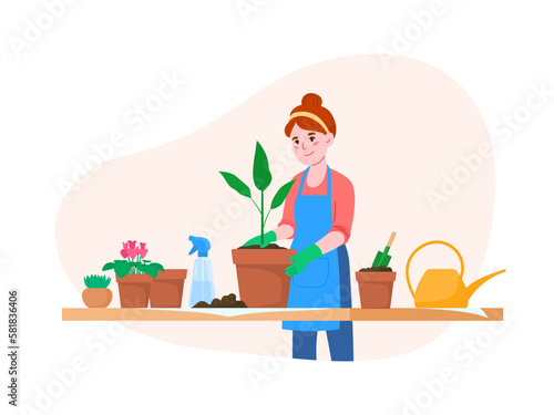 Transplanting home flowers. Spring work in the garden. Floriculture home