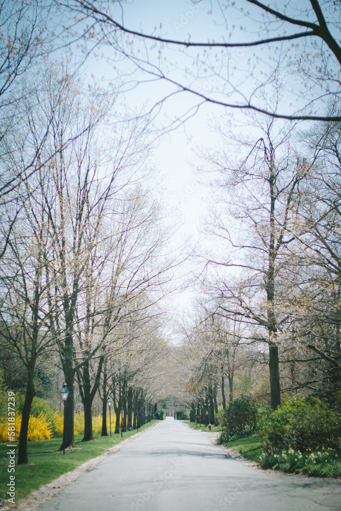 Long empty road in the rural countryside Long empty road in the rural countryside