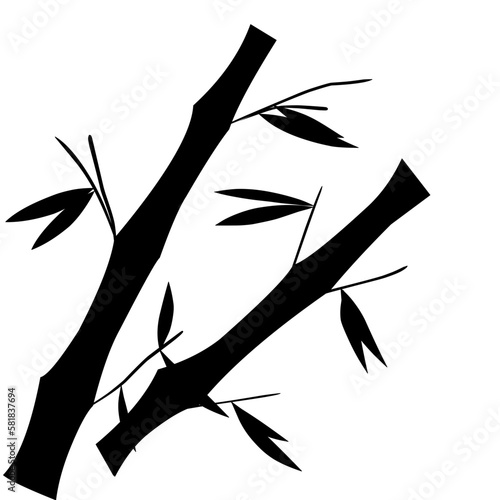 silhouette of bamboo sticks