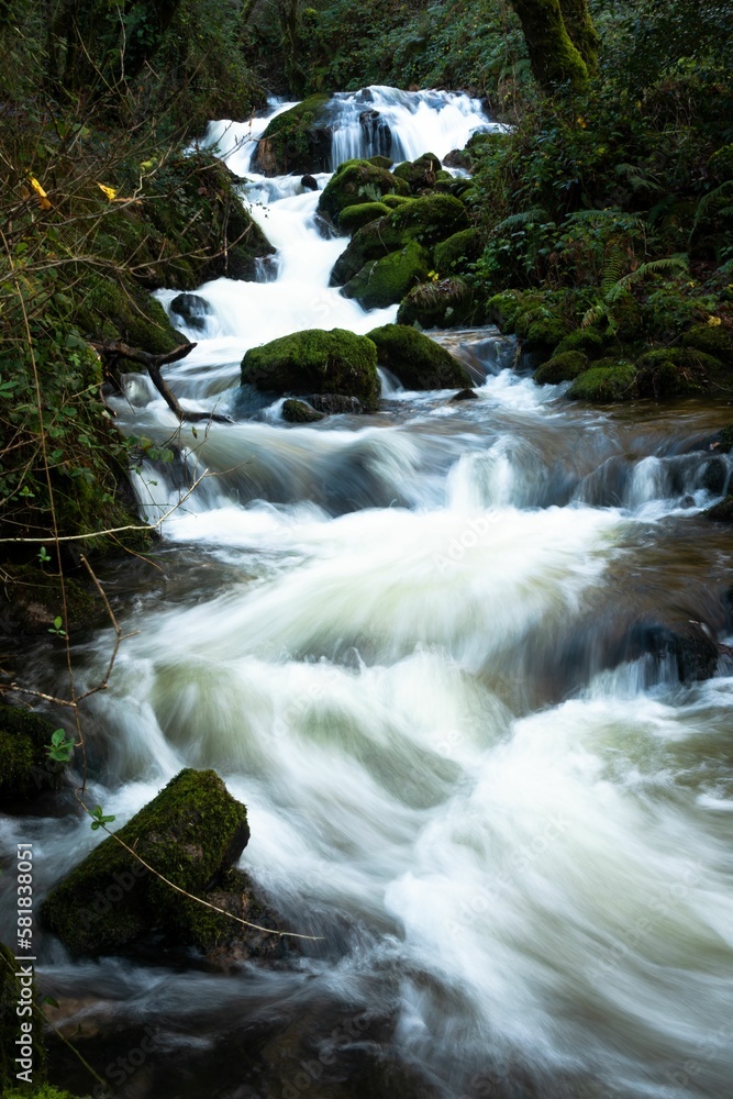 River flowing through the forest in Galicia, Spain River flowing through the forest in Galicia, Spain