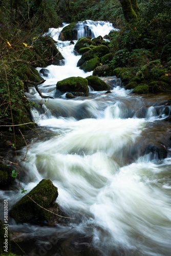 Fototapeta Naklejka Na Ścianę i Meble -  River flowing through the forest in Galicia, Spain