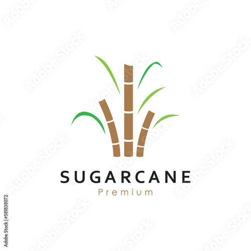 Natural Sweet Sugar Cane Plant Logo Template.