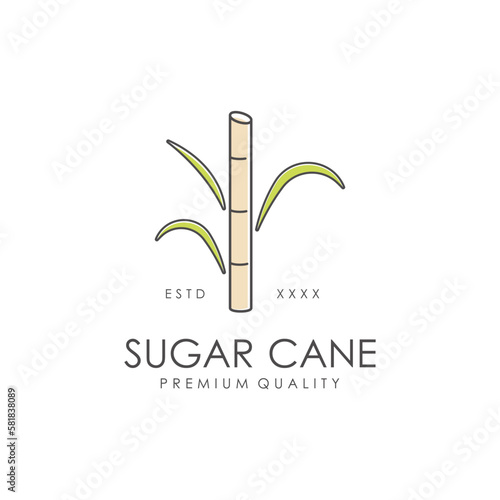 Natural Sweet Sugar Cane Plant Logo Template.