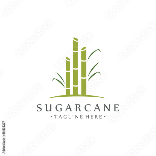Natural Sweet Sugar Cane Plant Logo Template.