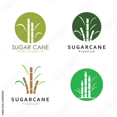 Natural Sweet Sugar Cane Plant Logo Template.