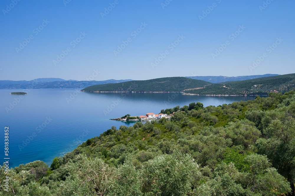 olive grove with sea view, wonderful Greek summer landscape, Mount Pelion, Greece olive grove with sea view, wonderful Greek summer landscape, Mount Pelion, Greece