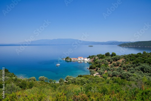 Fototapeta Naklejka Na Ścianę i Meble -  olive grove with sea view, wonderful Greek summer landscape, Mount Pelion, Greece