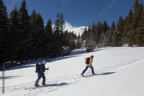 A group of freeride skiers climb up into the snowy mountains