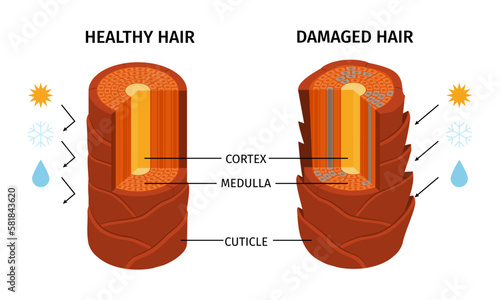 Healthy Damaged Hair Composition
