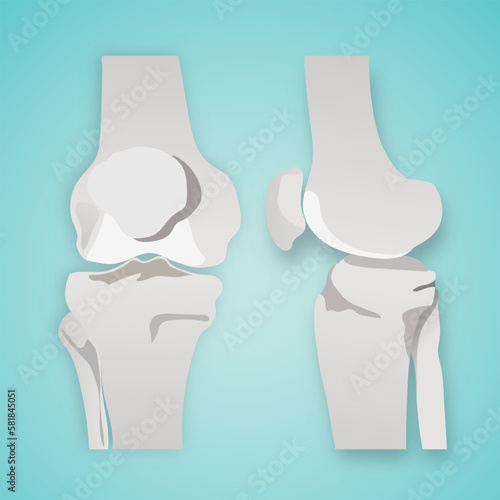 orthopedics knee collateral ligament injuries icon.	