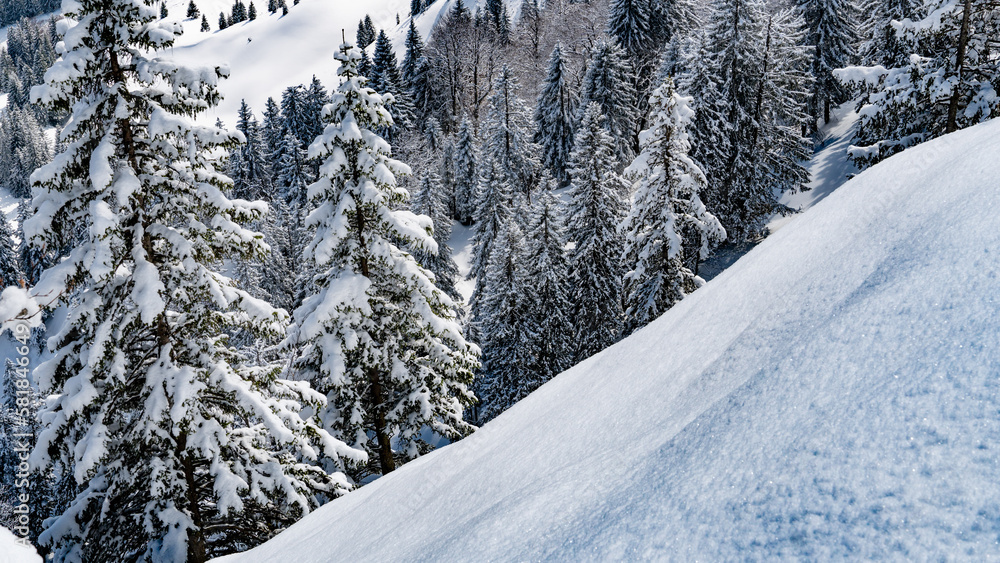 Ein tief verschneiter Berghang im Winter (Deutschland) Ein tief verschneiter Berghang im Winter (Deutschland)