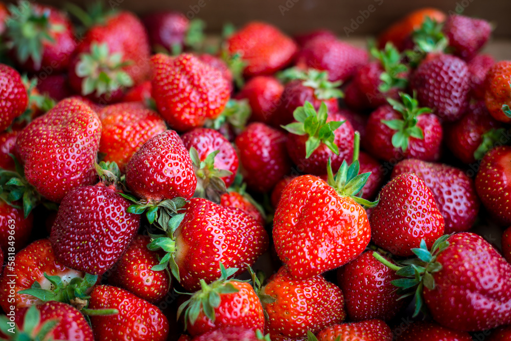 Fresh picked strawberries in a crate at a local farm Fresh picked strawberries in a crate at a local farm