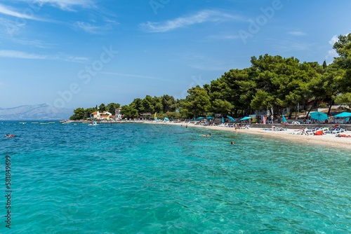 People swimming in the tranquil turquoise sea by the beach with leafy green trees