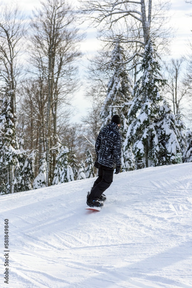 Vertical shot of a kid on a ski slope in a forest surrounded by snow