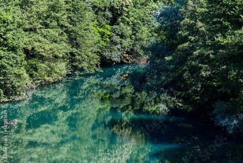 Calm river surrounded with lush greenery and forest reflecting on water surface © Marko Klarić/Wirestock Creators