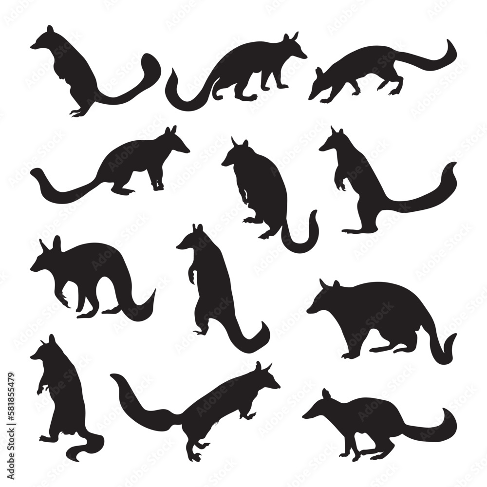 The Numbat silhouette vector illustration set. The Numbat silhouette vector illustration set.