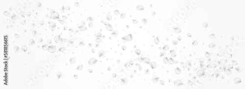White Flower Vector Light Panoramic Background.