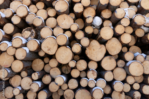 Pile of logged tree trunks. Sawn trees from the forest. Logging timber wood industry.