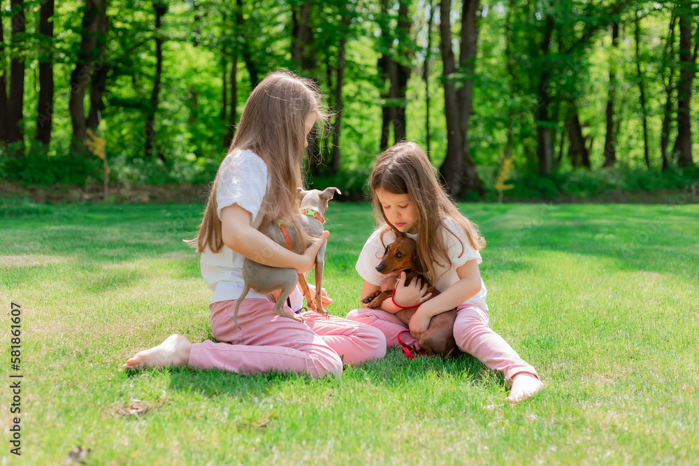 two happy little girls are walking in the park in the summer with their pets, small dogs dachshund and chihuahua. children's day two happy little girls are walking in the park in the summer with their pets, small dogs dachshund and chihuahua. children's day