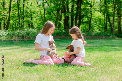 two happy little girls are walking in the park in the summer with their pets, small dogs dachshund and chihuahua. children's day © КРИСТИНА Игумнова