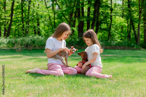 two happy little girls are walking in the park in the summer with their pets, small dogs dachshund and chihuahua. children's day