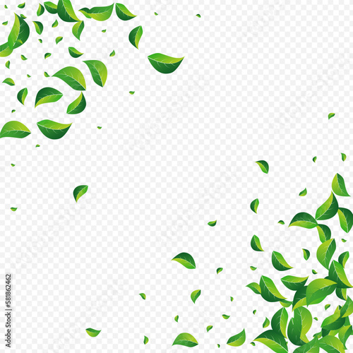 Olive Greens Falling Vector Transparent