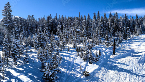 Frosted Pine Trees on the Ski Resort Mountain Top