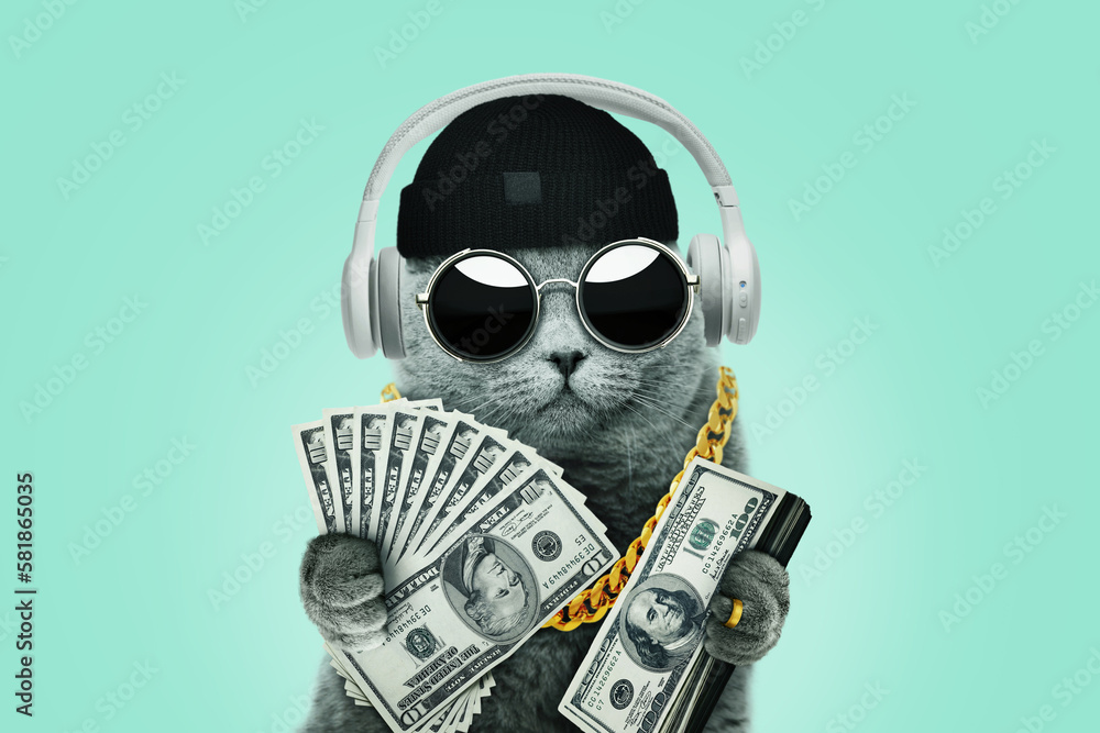 Cool rich successful hipster cat with sunglasses with gold chain holds many dollar bills on a light green background. Success, management and business, concept. Creative idea winner - obrazy, fototapety, plakaty 