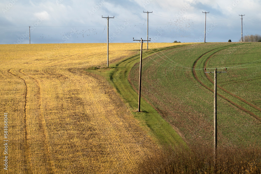 Telegraph wires crossing fields of arable farmland, Peasemore, Berkshire, England, United Kingdom, Europe